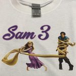 SAM3v